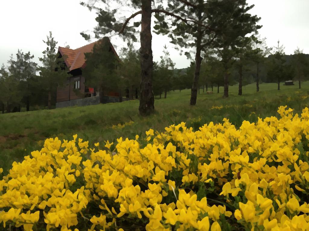 Previja Zlatibor Chalet Zimmer foto
