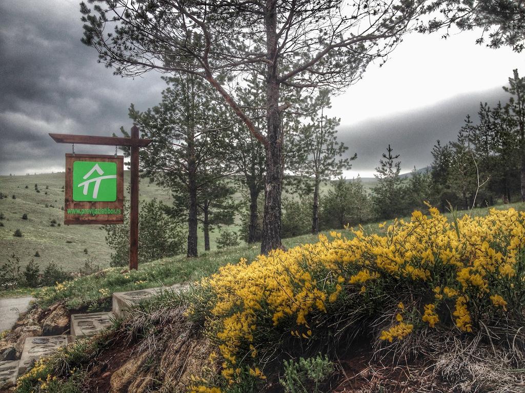 Previja Zlatibor Chalet Zimmer foto