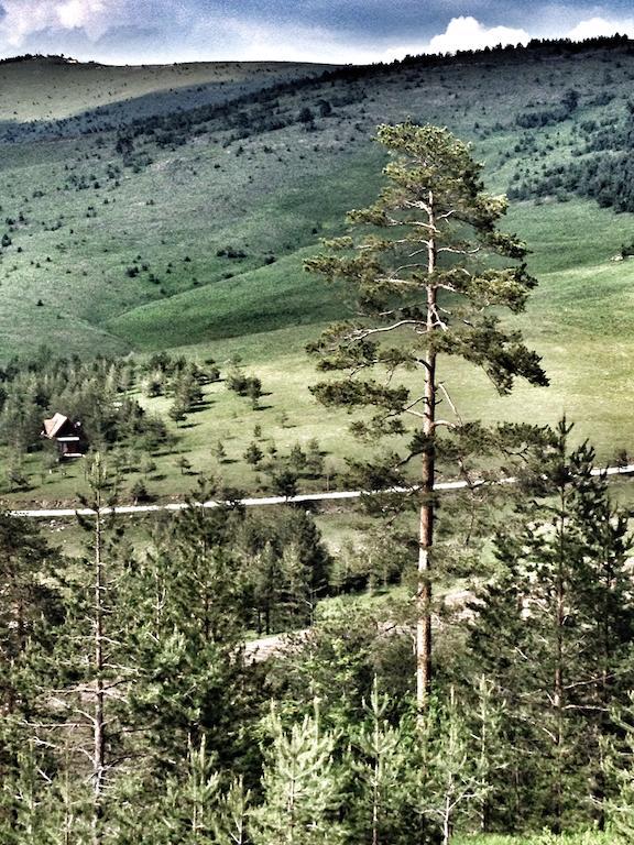 Previja Zlatibor Chalet Zimmer foto