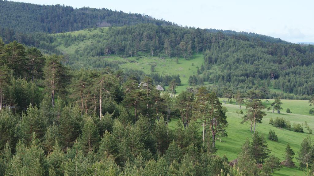 Previja Zlatibor Chalet Exterior foto