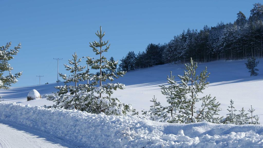 Previja Zlatibor Chalet Zimmer foto